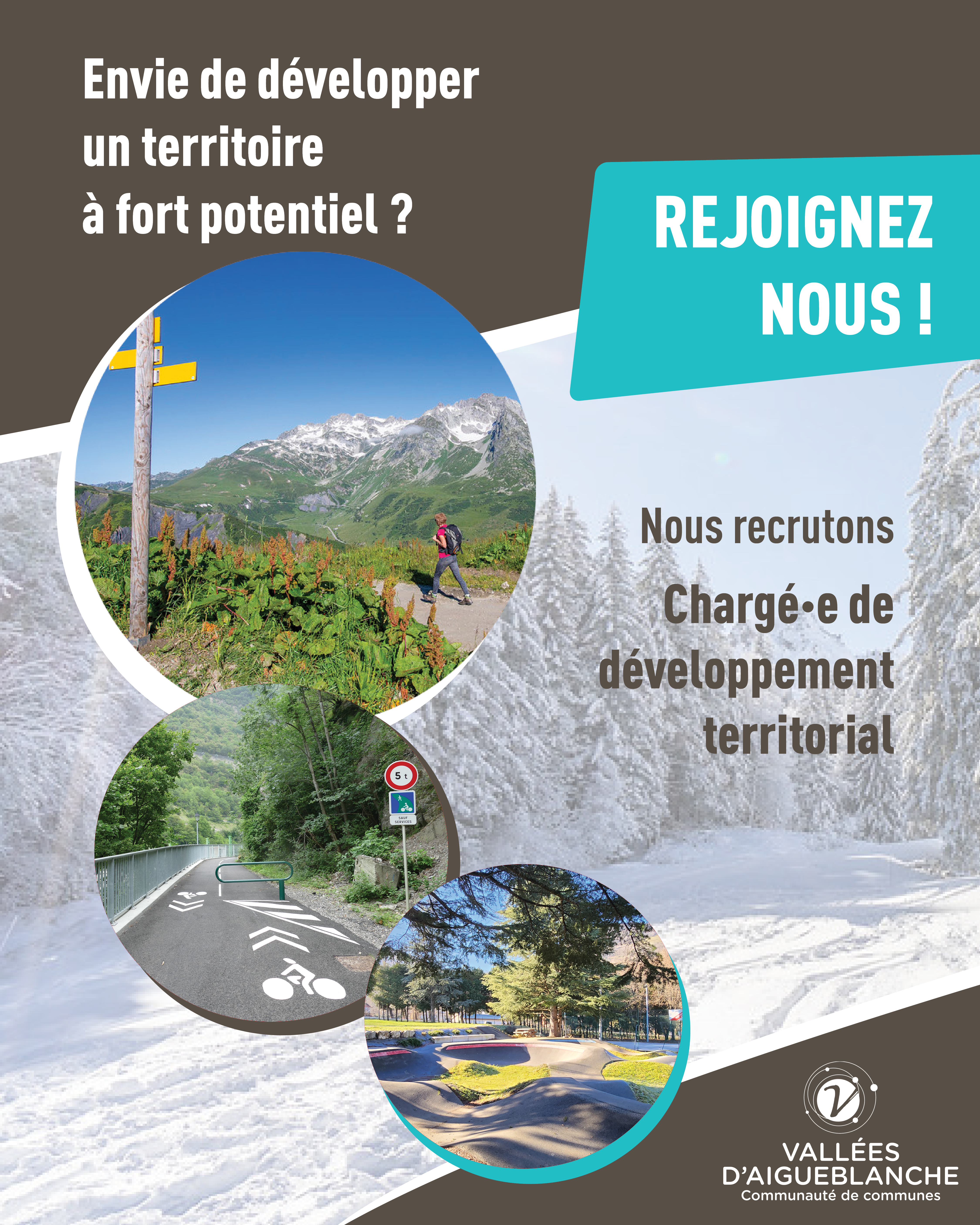Annonce Emploi territorial